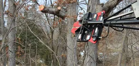 Performing tree shearing/removal in Fayette, MO.